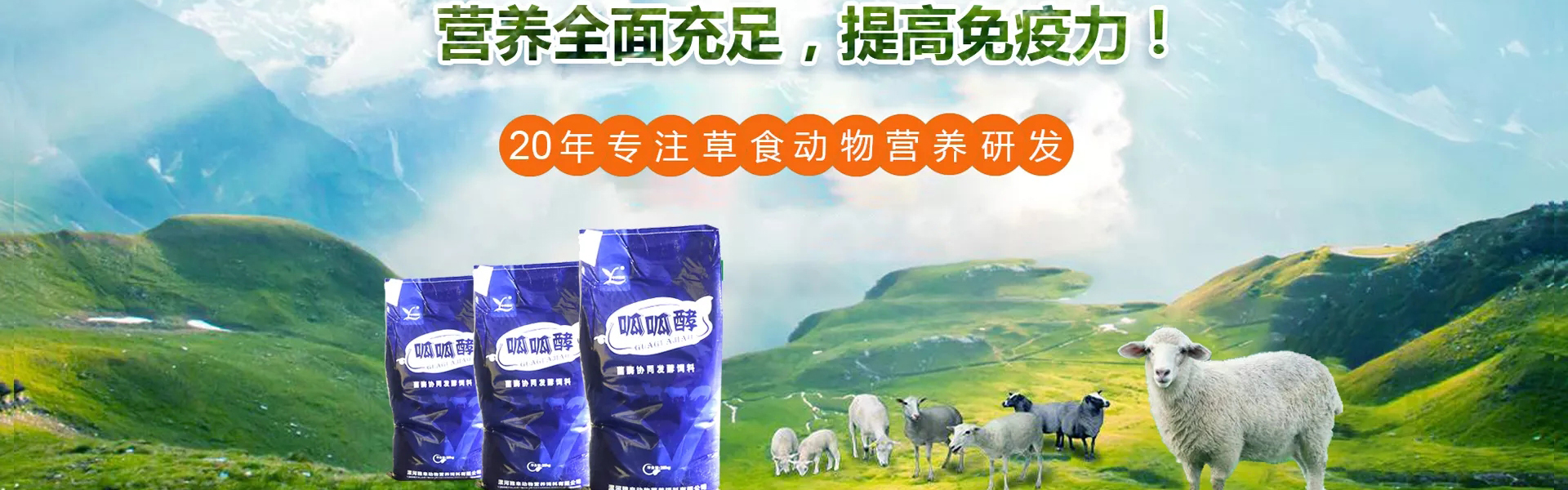 Kaiyun猪饲料生产车间-开云官方入口