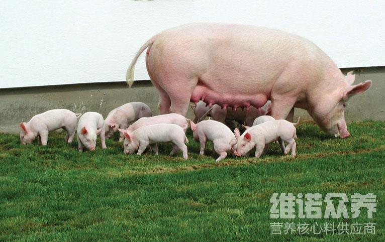 785彩票(中国)网站网页版登录入口手机版APP下载-淘豆网(图1)