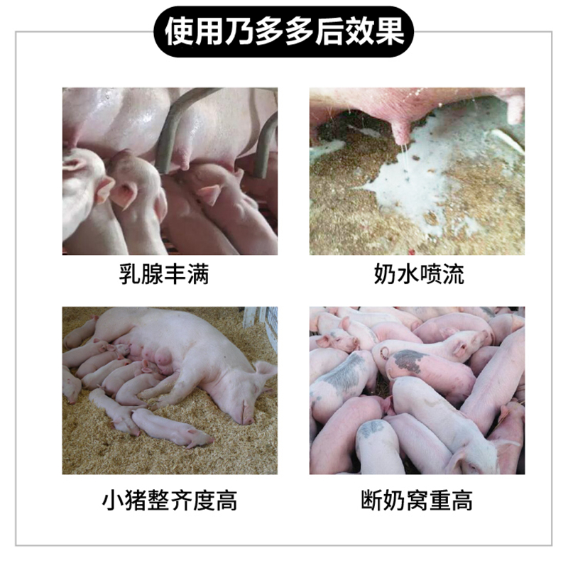 劲仔食品(003000)_最新价格_行情_走势图—东方财富网(图1)