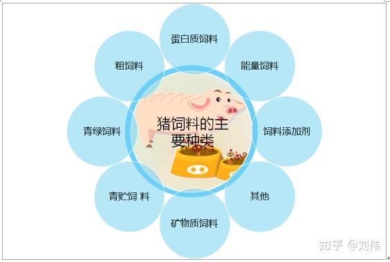 2026中国功能性饲料行业市场：一头猪的吃饭问题藏着万亿级产业密码(图1)