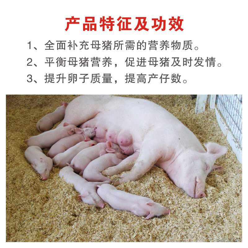 猪饲料用什么做的呢？非常实用的养猪饲料配方大全快收藏学习(图1)