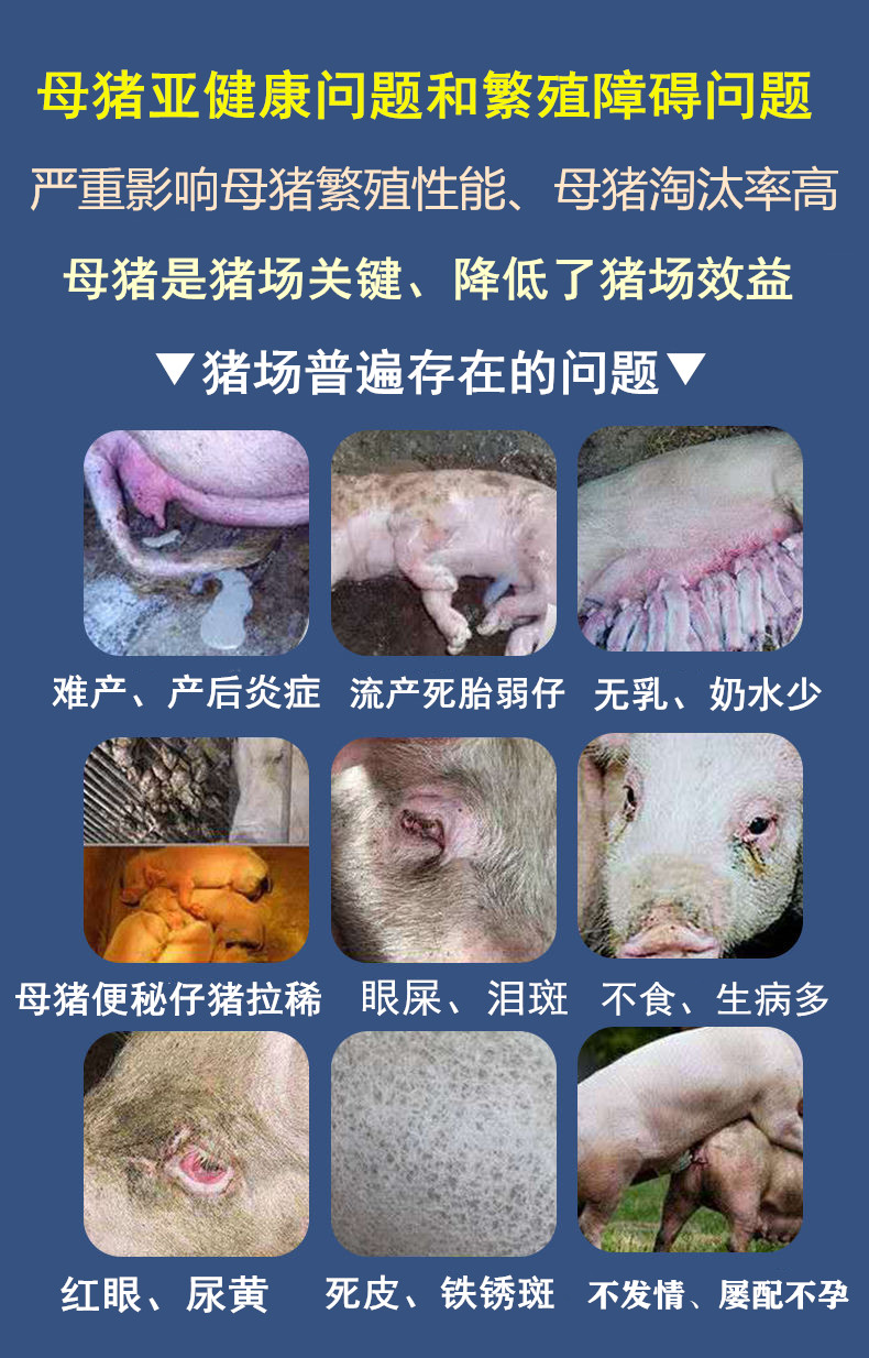 母猪饲料配方比例是多少？母猪饲料配方表配料详细图片快收藏！(图1)