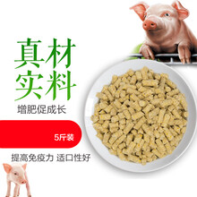 供给宽松生猪缺乏大幅上行基础(图1)