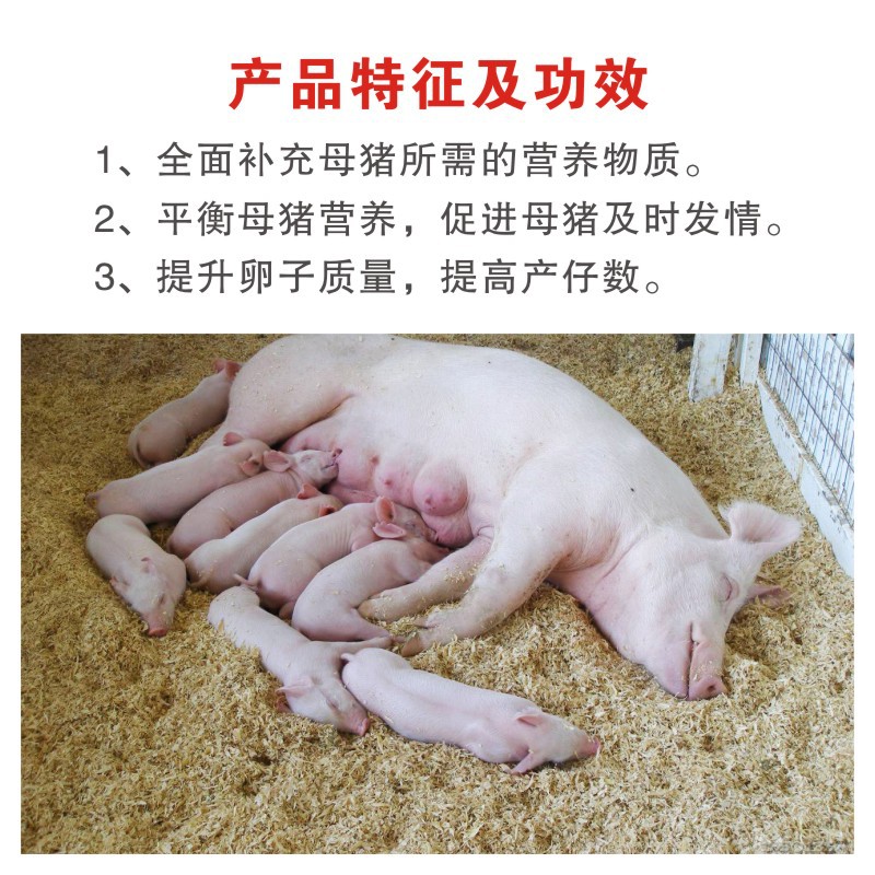 长沙市市直事业单位年度报告书公示