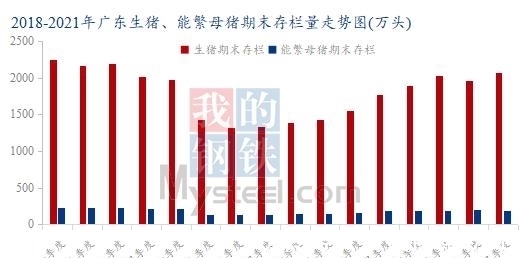 “养猪能手”大比拼广西举办农业行业职业技能竞赛(图1)