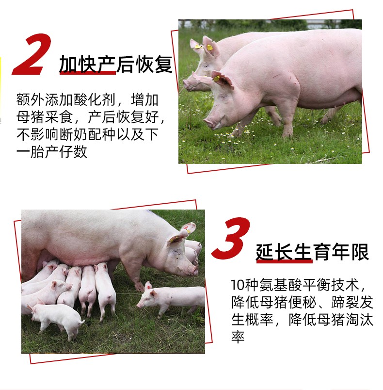 发酵饲料“国标”来了！(图1)