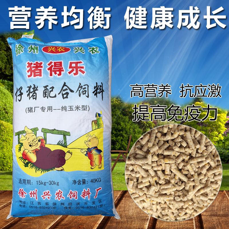 荣昌猪的“四季”传奇（三餐四季）(图1)