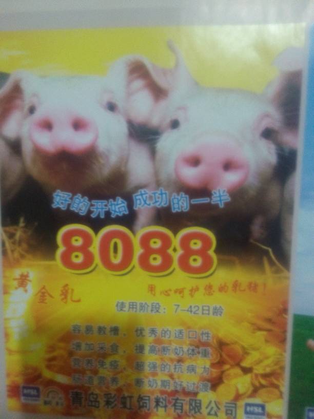 奶牛饲料成本(图1)
